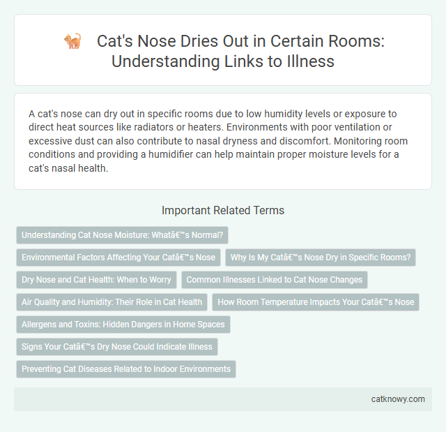 Cat's Nose Dries Out in Certain Rooms: Understanding Links to Illness