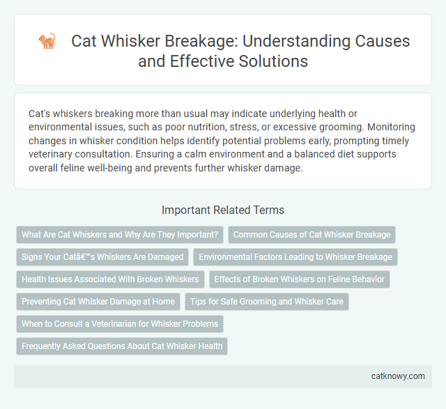 Cat Whisker Breakage: Understanding Causes and Effective Solutions