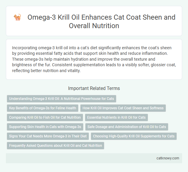 Omega-3 Krill Oil Enhances Cat Coat Sheen and Overall Nutrition