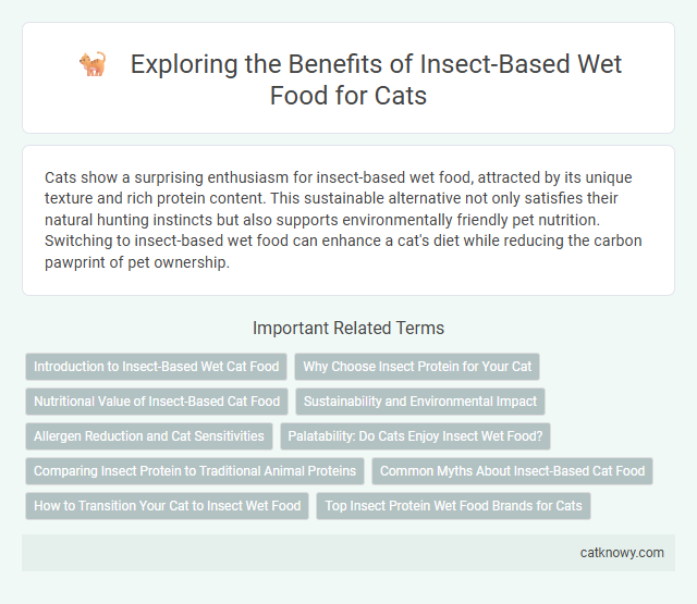 Exploring the Benefits of Insect-Based Wet Food for Cats