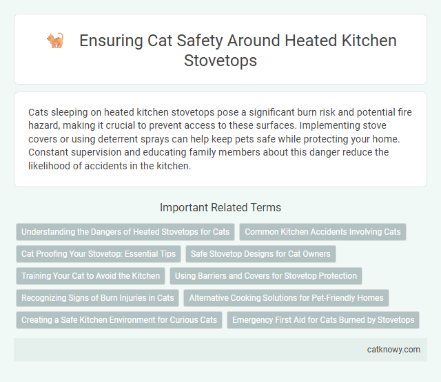 Ensuring Cat Safety Around Heated Kitchen Stovetops