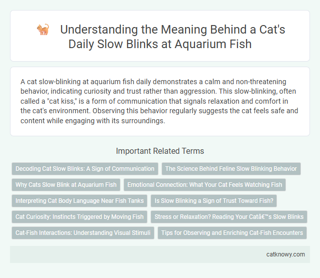 Understanding the Meaning Behind a Cat's Daily Slow Blinks at Aquarium Fish