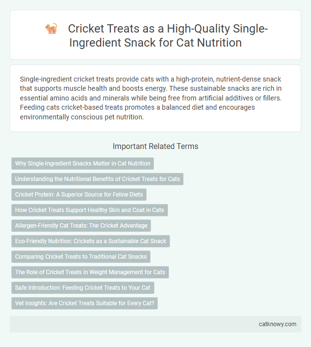 Cricket Treats as a High-Quality Single-Ingredient Snack for Cat Nutrition