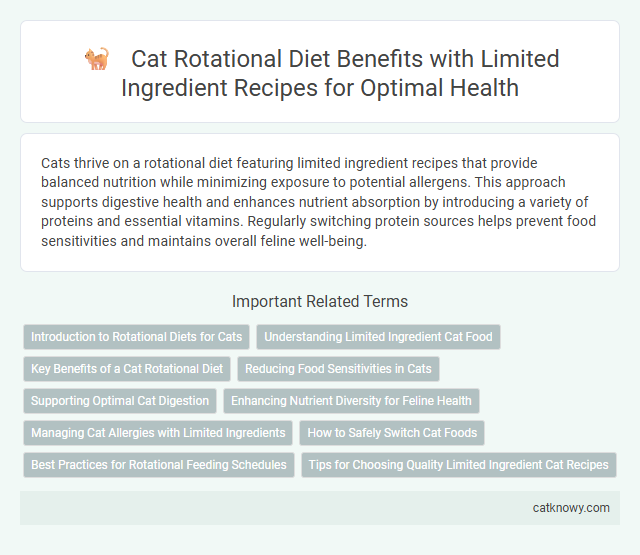 Cat Rotational Diet Benefits with Limited Ingredient Recipes for Optimal Health