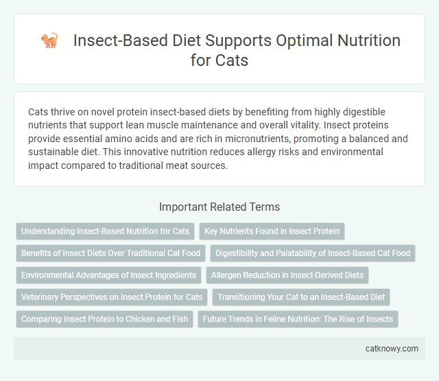 Insect-Based Diet Supports Optimal Nutrition for Cats