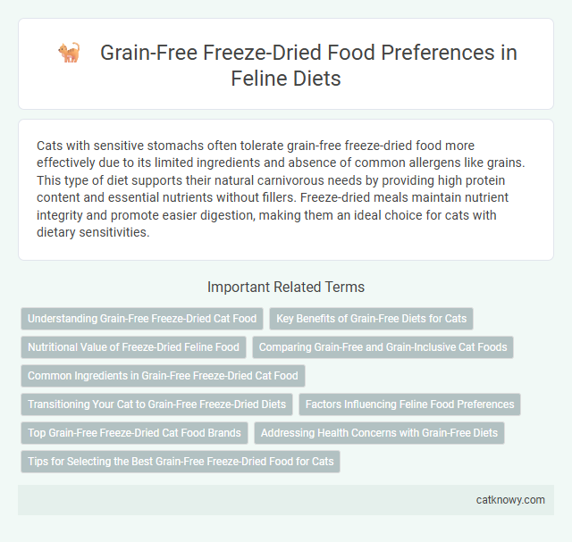 Grain-Free Freeze-Dried Food Preferences in Feline Diets