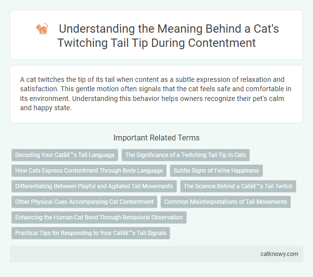 Understanding the Meaning Behind a Cat's Twitching Tail Tip During Contentment