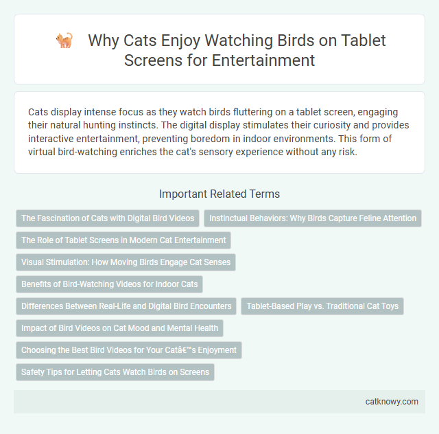 Why Cats Enjoy Watching Birds on Tablet Screens for Entertainment