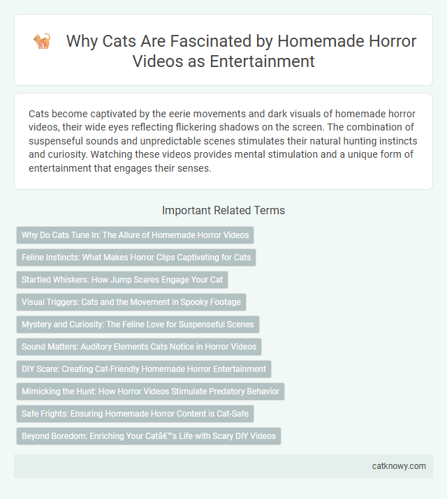 Why Cats Are Fascinated by Homemade Horror Videos as Entertainment