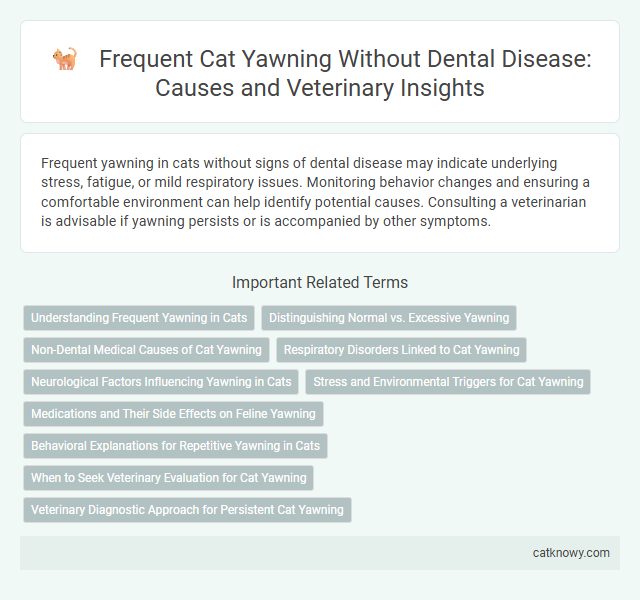 Frequent Cat Yawning Without Dental Disease: Causes and Veterinary Insights