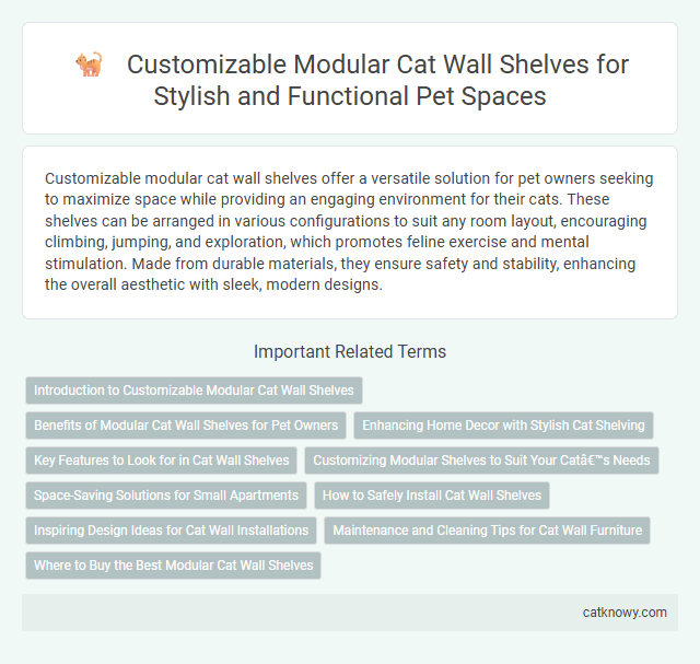 Customizable Modular Cat Wall Shelves for Stylish and Functional Pet Spaces