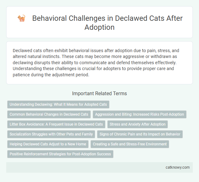 Behavioral Challenges in Declawed Cats After Adoption