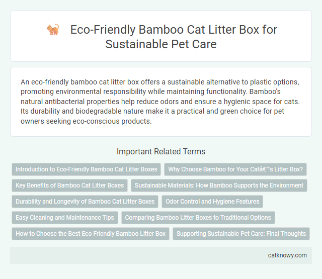 Eco-Friendly Bamboo Cat Litter Box for Sustainable Pet Care