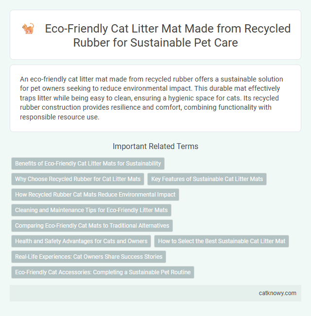 Eco-Friendly Cat Litter Mat Made from Recycled Rubber for Sustainable Pet Care