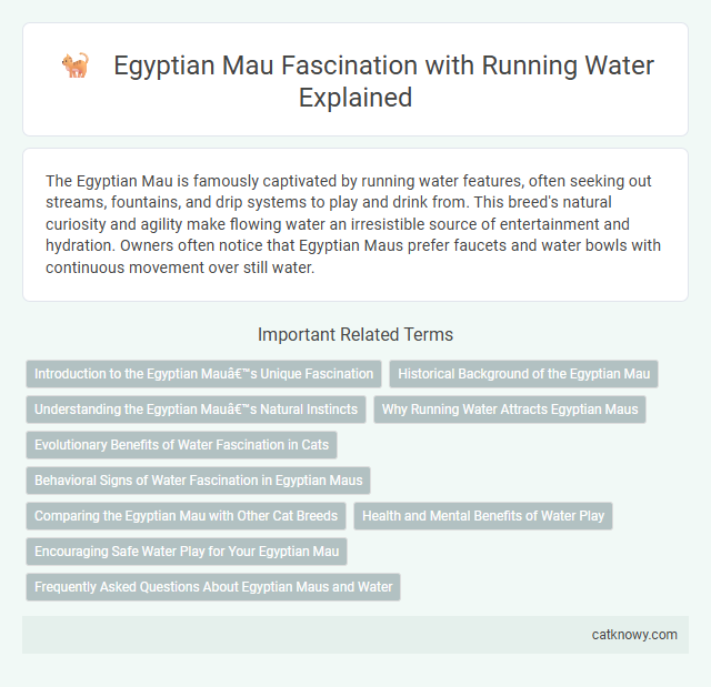 Egyptian Mau Fascination with Running Water Explained