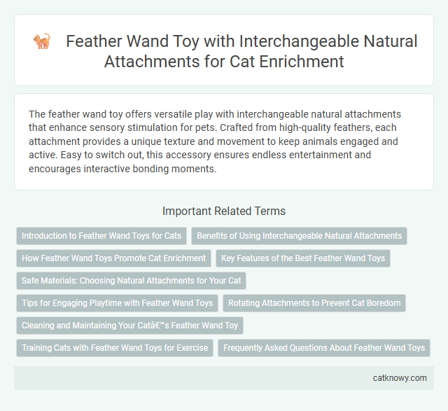 Feather Wand Toy with Interchangeable Natural Attachments for Cat Enrichment