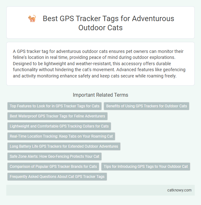 Best GPS Tracker Tags for Adventurous Outdoor Cats