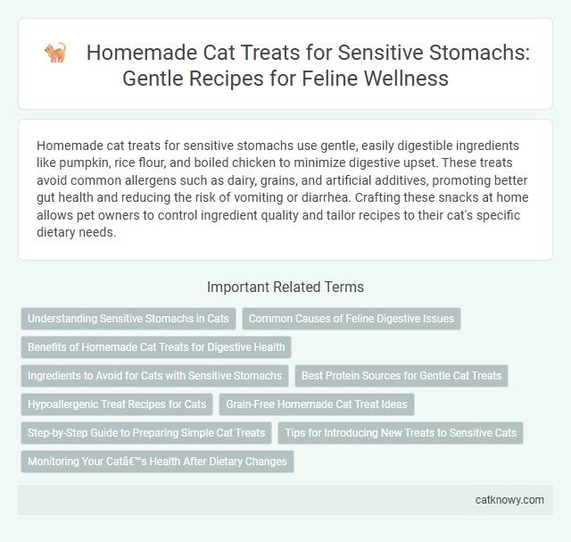 Homemade Cat Treats for Sensitive Stomachs: Gentle Recipes for Feline Wellness