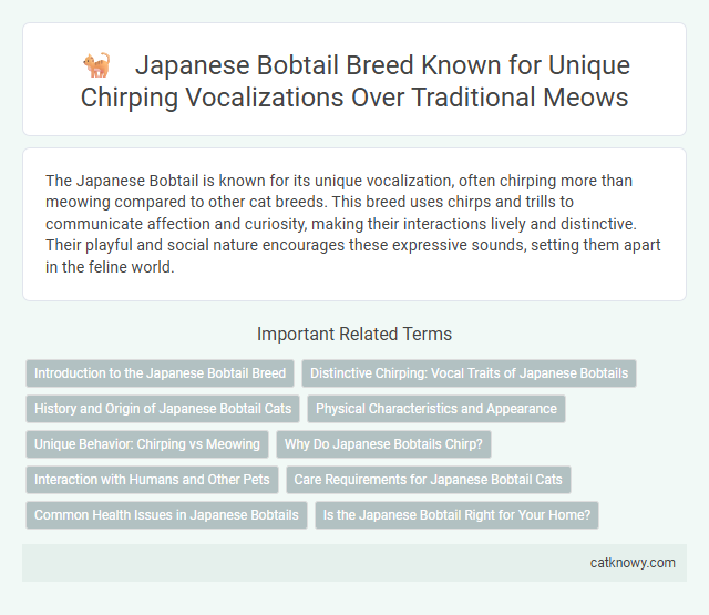 Japanese Bobtail Breed Known for Unique Chirping Vocalizations Over Traditional Meows