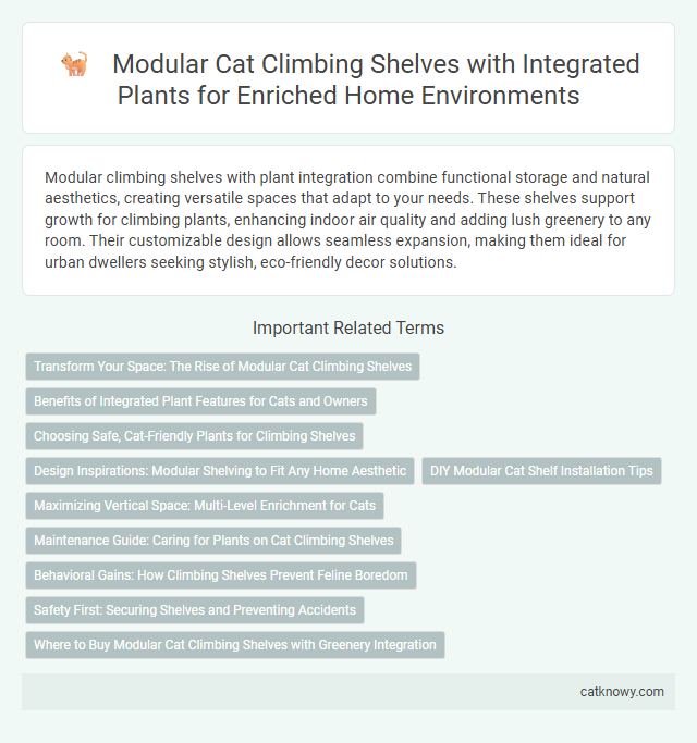 Modular Cat Climbing Shelves with Integrated Plants for Enriched Home Environments