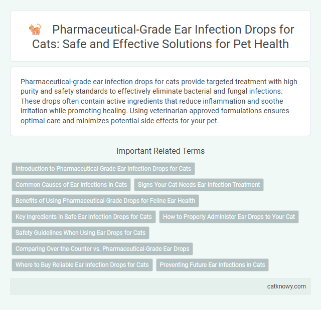 Pharmaceutical-Grade Ear Infection Drops for Cats: Safe and Effective Solutions for Pet Health