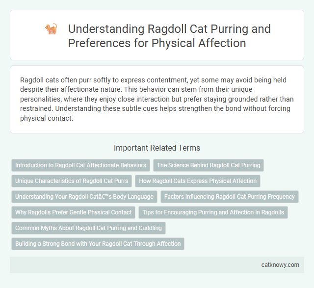 Understanding Ragdoll Cat Purring and Preferences for Physical Affection