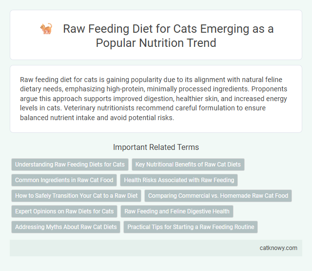 Raw Feeding Diet for Cats Emerging as a Popular Nutrition Trend