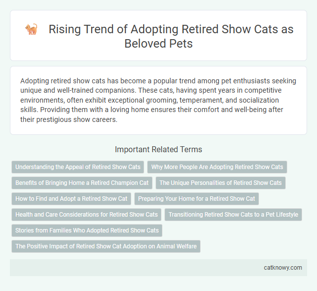Rising Trend of Adopting Retired Show Cats as Beloved Pets