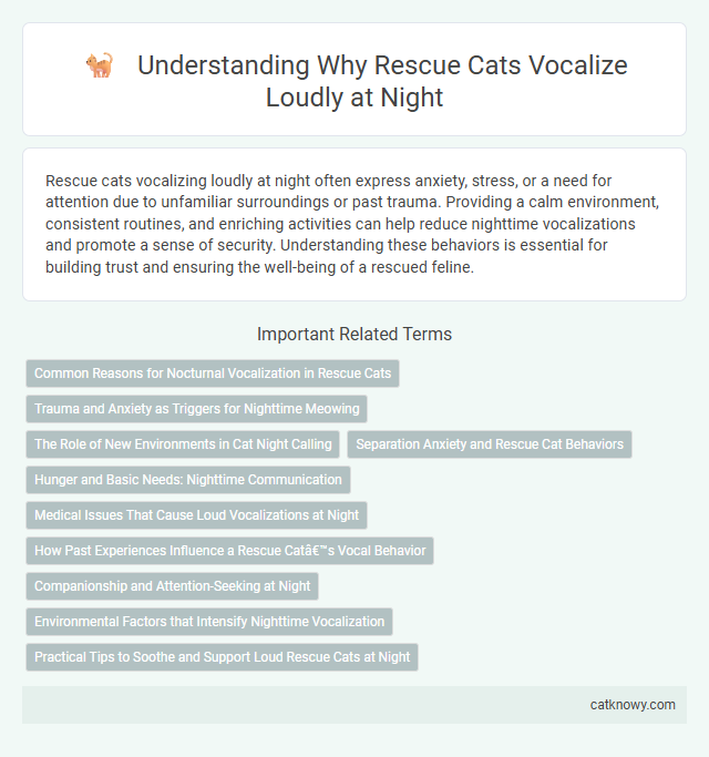 Understanding Why Rescue Cats Vocalize Loudly at Night