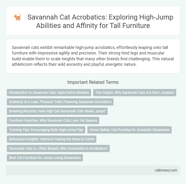 Savannah Cat Acrobatics: Exploring High-Jump Abilities and Affinity for Tall Furniture