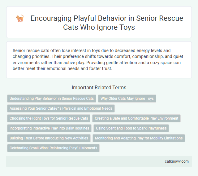 Encouraging Playful Behavior in Senior Rescue Cats Who Ignore Toys