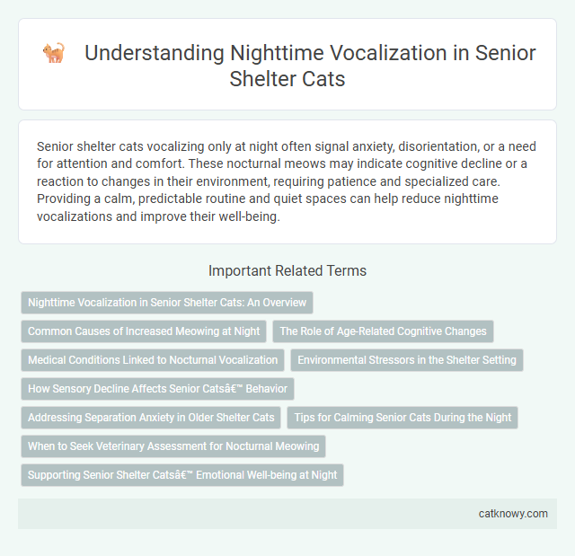 Understanding Nighttime Vocalization in Senior Shelter Cats
