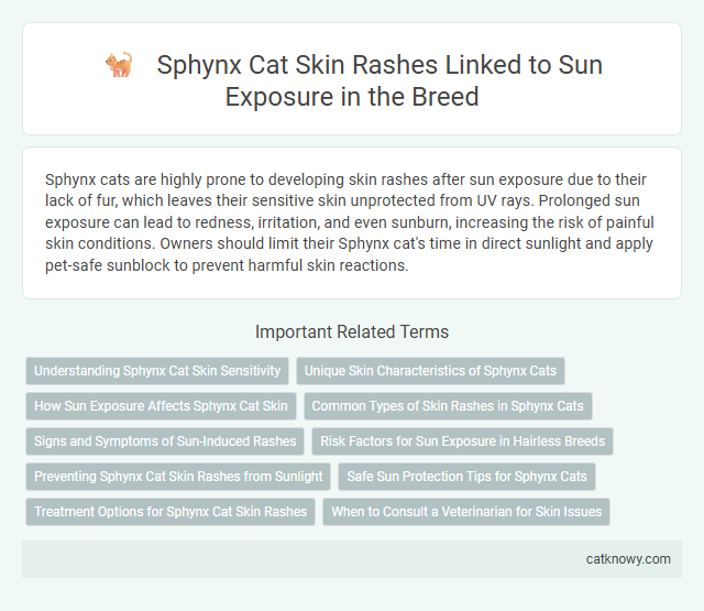 Sphynx Cat Skin Rashes Linked to Sun Exposure in the Breed