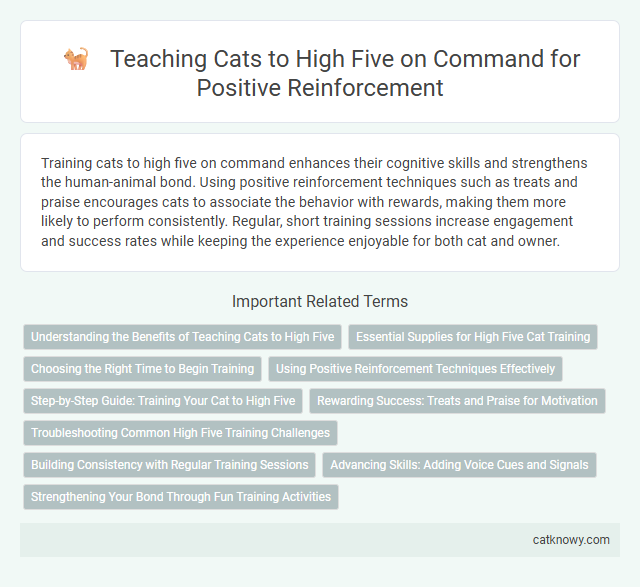 Teaching Cats to High Five on Command for Positive Reinforcement