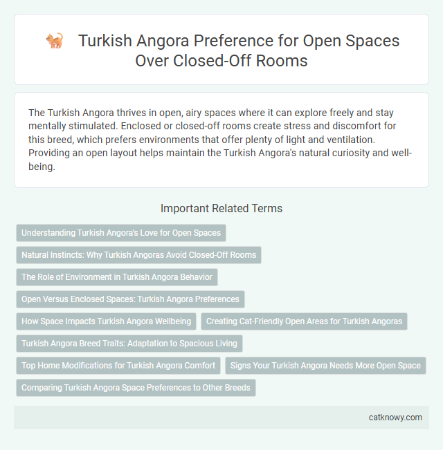 Turkish Angora Preference for Open Spaces Over Closed-Off Rooms