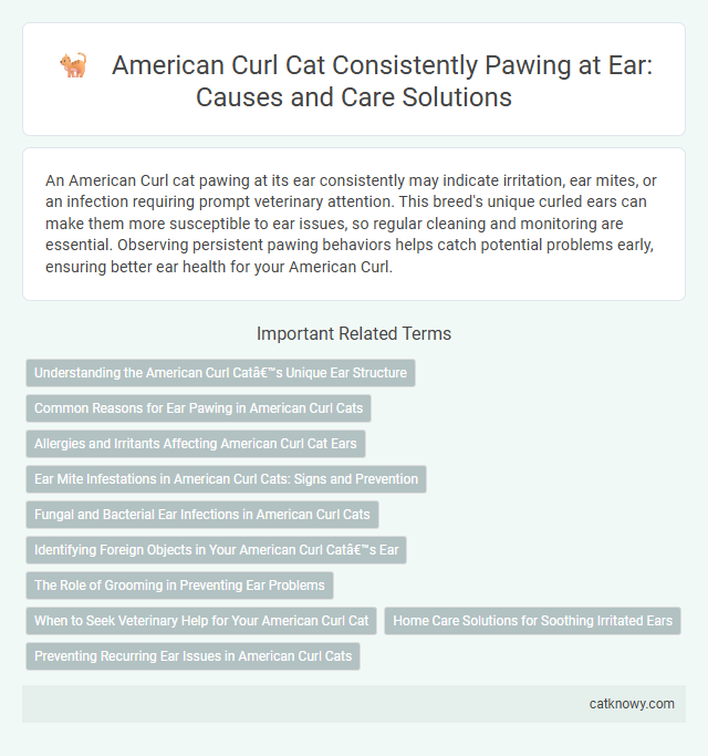 American Curl Cat Consistently Pawing at Ear: Causes and Care Solutions