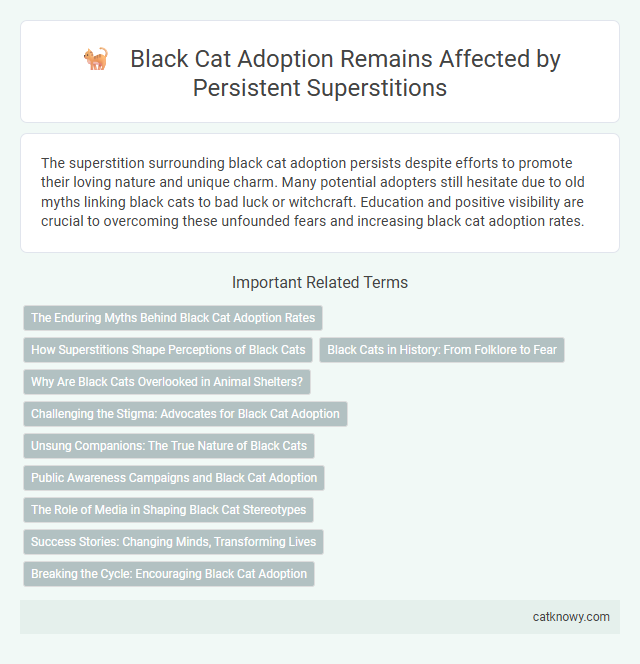 Black Cat Adoption Remains Affected by Persistent Superstitions