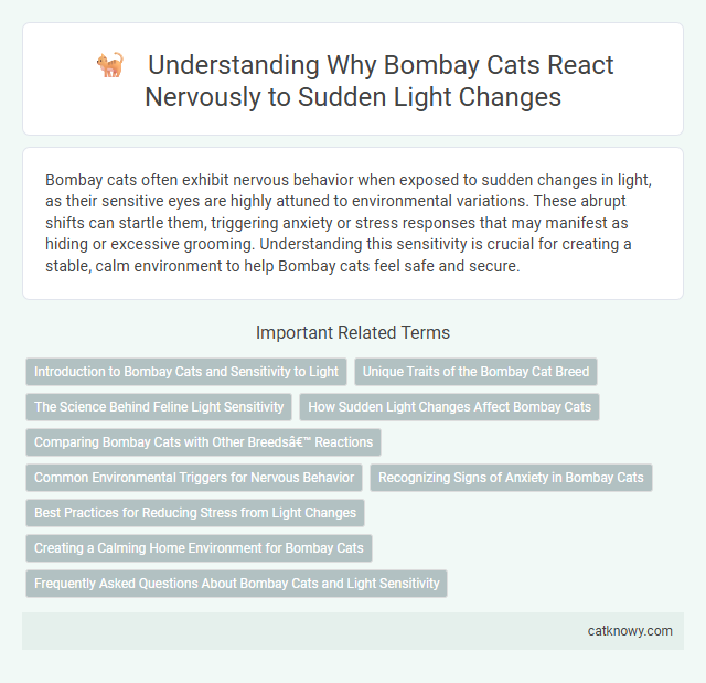 Understanding Why Bombay Cats React Nervously to Sudden Light Changes