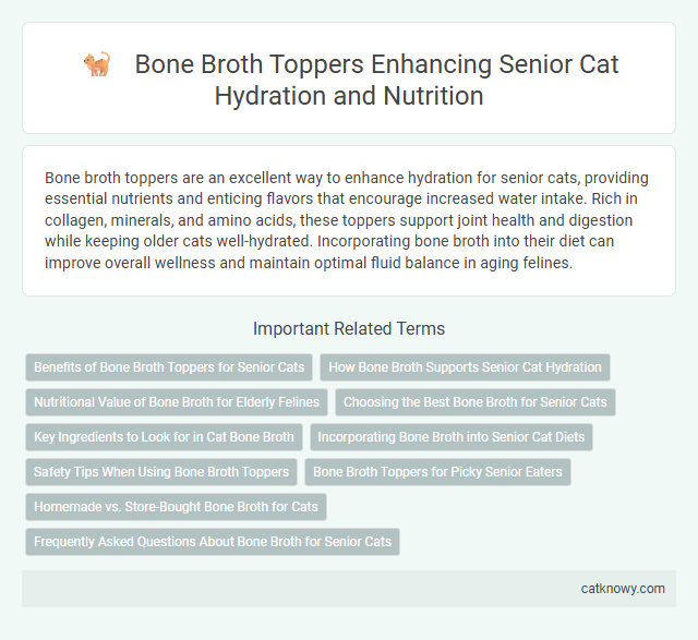 Bone Broth Toppers Enhancing Senior Cat Hydration and Nutrition