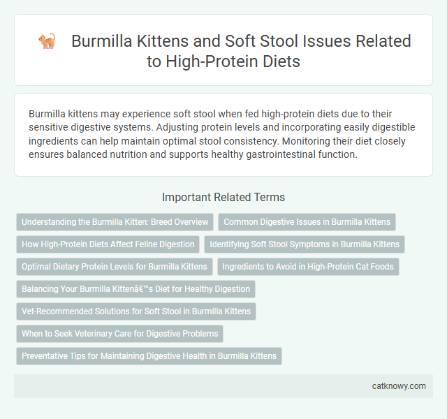Burmilla Kittens and Soft Stool Issues Related to High-Protein Diets