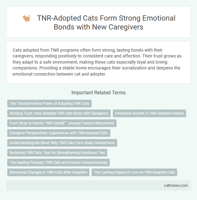 TNR-Adopted Cats Form Strong Emotional Bonds with New Caregivers