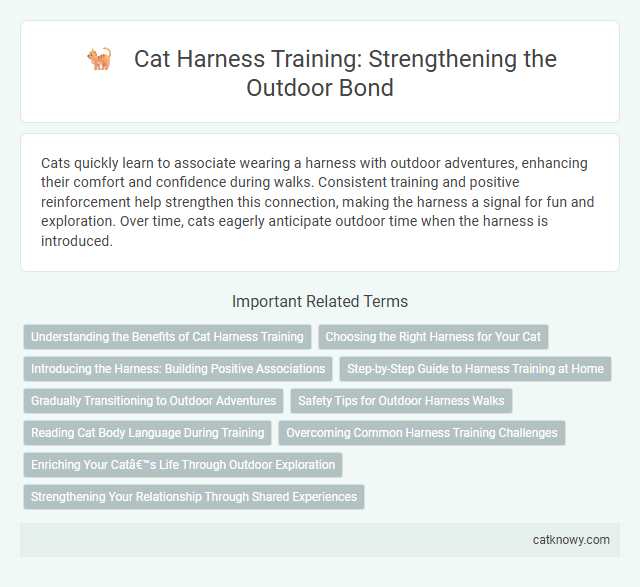 Cat Harness Training: Strengthening the Outdoor Bond