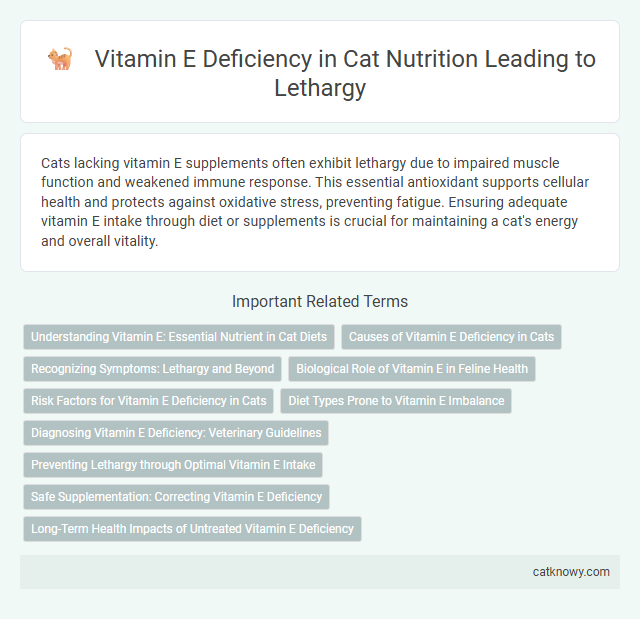 Vitamin E Deficiency in Cat Nutrition Leading to Lethargy
