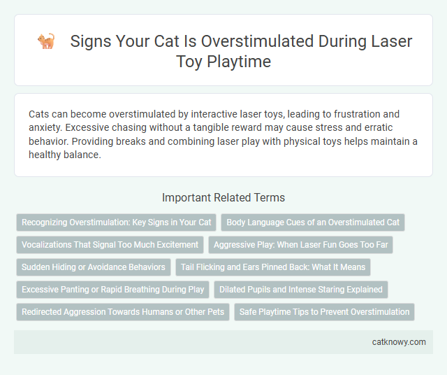 Signs Your Cat Is Overstimulated During Laser Toy Playtime