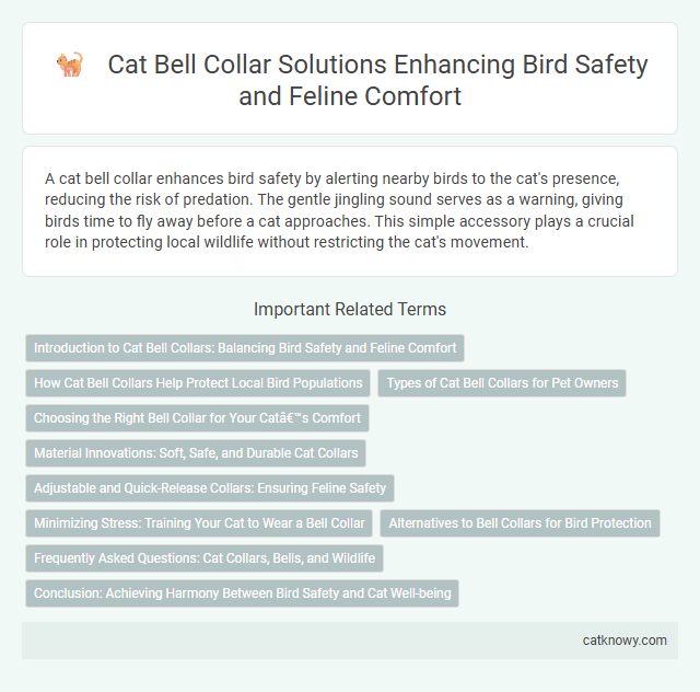 Cat Bell Collar Solutions Enhancing Bird Safety and Feline Comfort