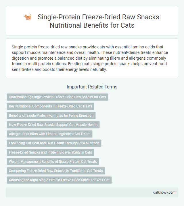 Single-Protein Freeze-Dried Raw Snacks: Nutritional Benefits for Cats