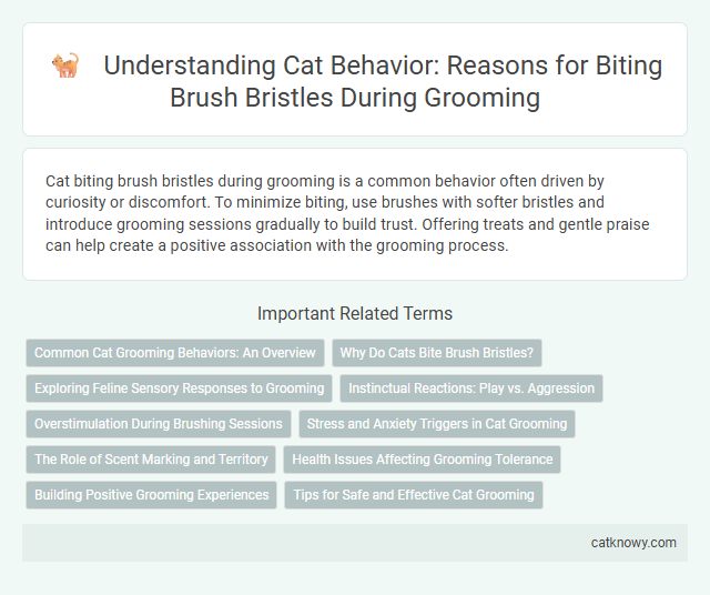 Understanding Cat Behavior: Reasons for Biting Brush Bristles During Grooming