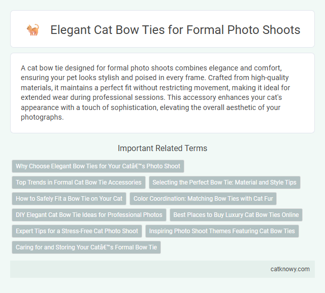 Elegant Cat Bow Ties for Formal Photo Shoots