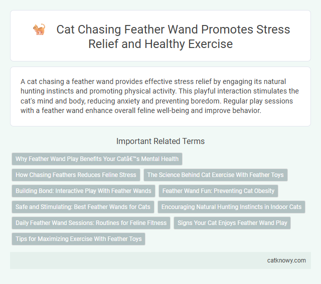 Cat Chasing Feather Wand Promotes Stress Relief and Healthy Exercise