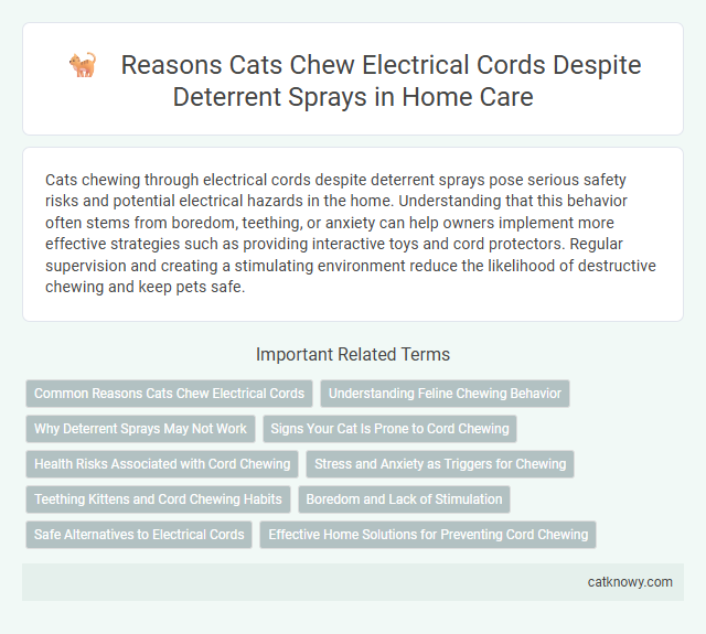 Reasons Cats Chew Electrical Cords Despite Deterrent Sprays in Home Care